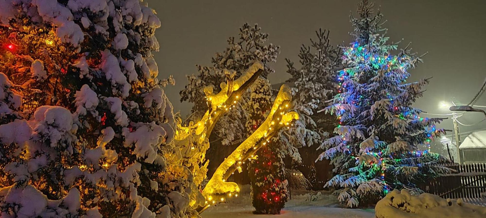 Eden Garden Sovata Villa Екстериор снимка
