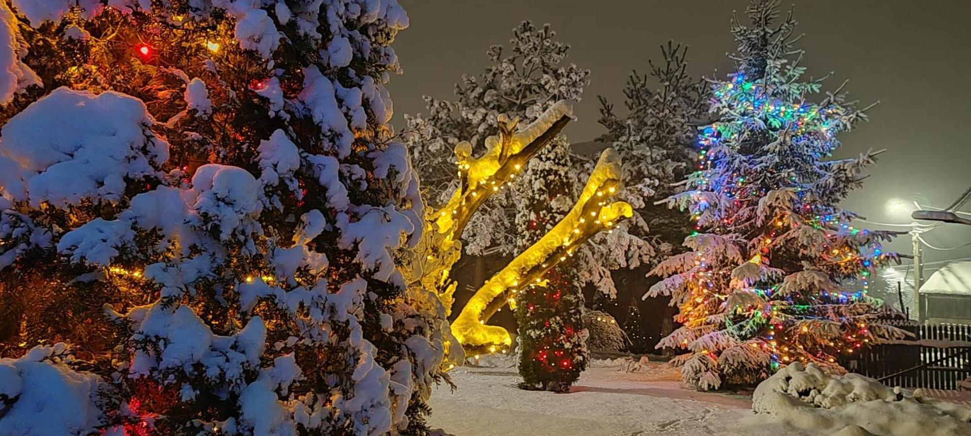 Eden Garden Sovata Villa Екстериор снимка